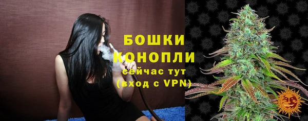 крисы Горно-Алтайск