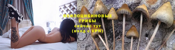 крисы Горно-Алтайск