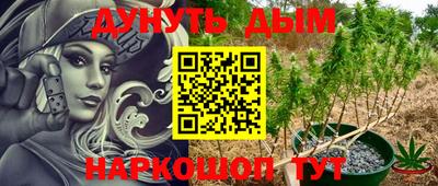 метадон Гай