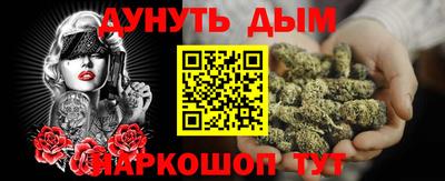 PSILOCYBIN Гатчина