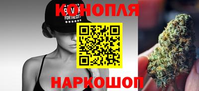 PSILOCYBIN Гатчина