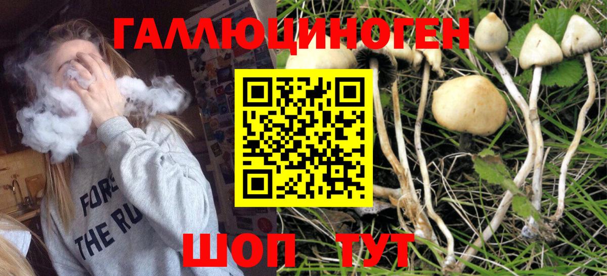 Дюртюли  Псилоцибиновые грибы Cubensis  Галлюциногенные грибы Psilocybe  Вход с VPN 